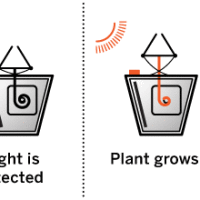 Make It Last Build Series: The robot plants are in bloom!