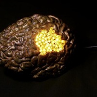 Incredible electronic bronze brain sculptures