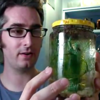 Make a Tabletop Biosphere