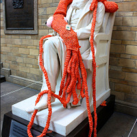 Giant Knitted Squid