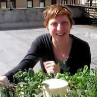 Hydroponic Herb Garden – CRAFT Video