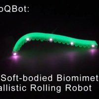 Caterpillar Bot Mimics “Ballistic Rolling”