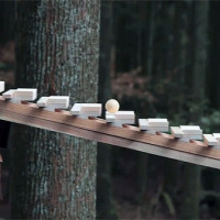 Japanese Gravity Marimba Plays Bach In An Ancient Forest