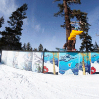 Mammoth Mountain Art Park