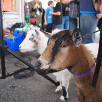 MFBA Day Two, Now With More Awesome!