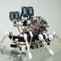 Winners of MAKE Volume 27 Robot Contest