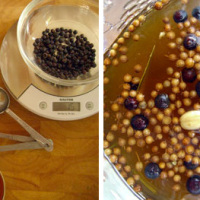 How to Make Your Own Gin Without a Still