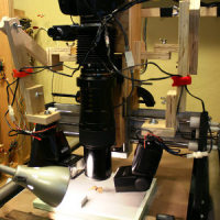 DIY Gigapixel Microscopy