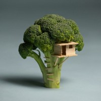 A Tiny Toothpick Treehouse in a Bitty Broccoli Tree