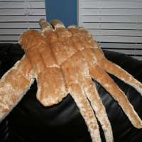 How-To:  Plush Facehugger Buddy