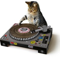 Cat DJ Scratching Toy Eerily Mimics Esoteric Musical Instrument