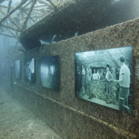 Underwater Photo Gallery