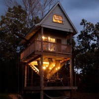 A Real Tree House