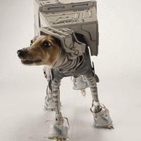 AT-AT Dog Is Awesome