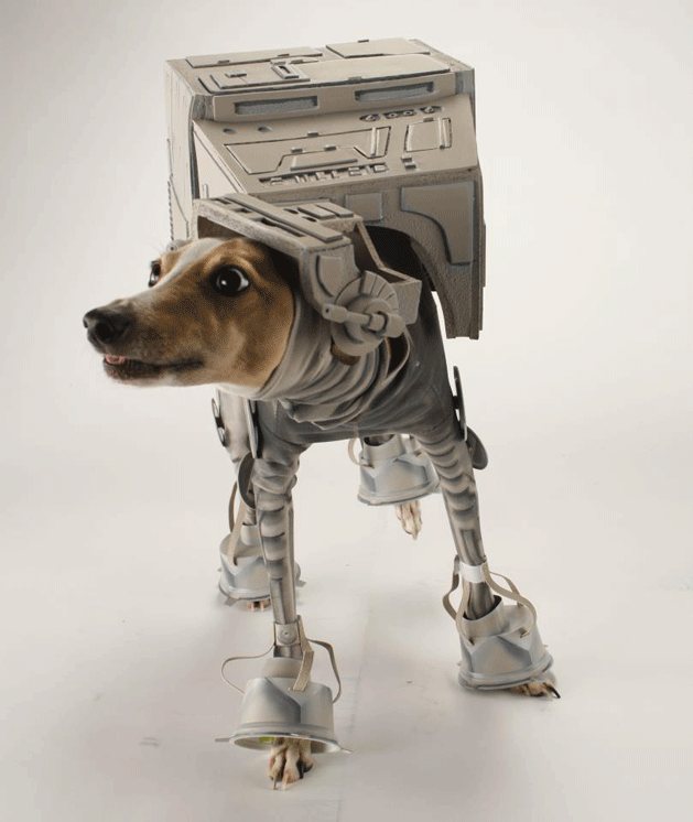 AT-AT Dog Is Awesome