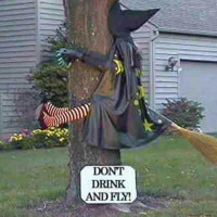 “Don’t Trick and Fly” Halloween Yard Decoration