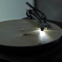 Play the Rings of a Tree Trunk Like a Record