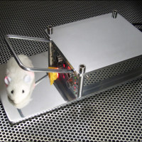 Seriously Overengineered Mousetrap