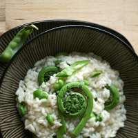 Feasting on Fiddlehead