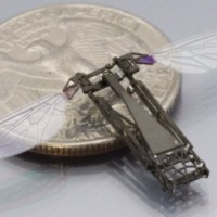 Building a Robotic Bee With MEMS 3D Printing