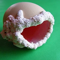 Growing Crystals in an Eggshell