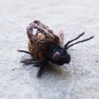 Hannah Haworth’s Knitted Bees