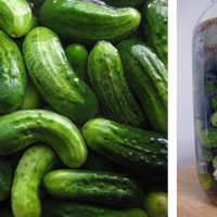 DIY Bubbies Pickles