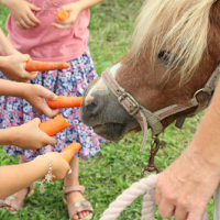 Children’s Birthday Party at an Organic Farm