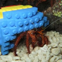 Lego Hermit Crab Shell