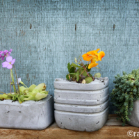 How-To: Molded Concrete Planters
