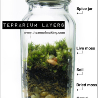 Spice Jar Terrriums