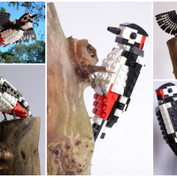 Lego British Birds