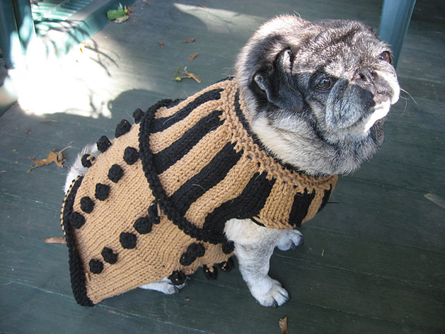 Knit Dalek Dog Sweater Pattern