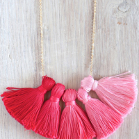 Ombre Tassle Necklace