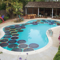 Lily Pad Pool Warmers from MAKE Volume 23