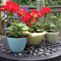 DIY Garden Container Tips