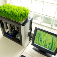 Bio Computer Germinates Plants