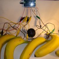 Bananaphone: Fruit Actuated Synth