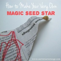 How-To: Paper Seed Star