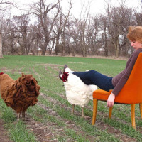 Felted Chicken Footstool