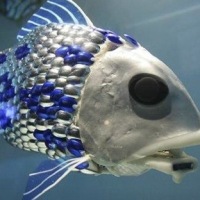 NEWS FROM THE FUTURE – Robot Fish Scan For Pollution