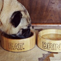How-To: Wood Burned Pet Bowls
