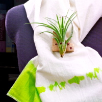Project: Living Air Plant Brooch