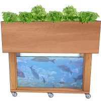 “Hello Garden” – Making Aquaponics Smart