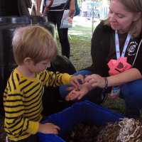 Maker Faire New York: Learn About Worms