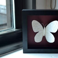 How-To: Framed Paper Cut Butterfly