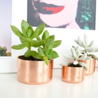 How-To: Mini Copper Planters