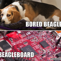 Bored Beagle/BeagleBoard