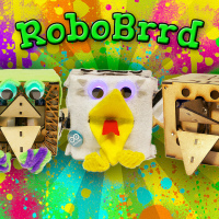 Learn About Robotics With RoboBrrd