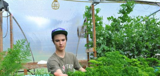This Week on Food Makers: 17-year-old Aquaponics Innovator Pierre Beauchamp